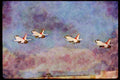 Airshow Aircraft Planes 010044 Four F 16s Taking Off A4 Limited Edition Watercolour Print