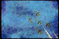 Airshow Aircraft Planes 010057 Five Thunderbird T 38s In Formation A4 Limited Edition Watercolour Print