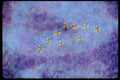 Airshow Aircraft Planes 010067 Nine Snowbirds In Flight, From Below A4 Limited Edition Watercolour Print