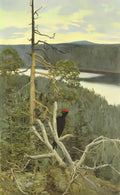 Akseli Gallen Kallela the great black woodpecker Art A4 Photo Print