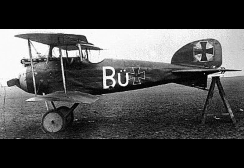 Albatros Di Military A4 Photo Print