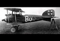 Albatros Di (2) Military A4 Photo Print