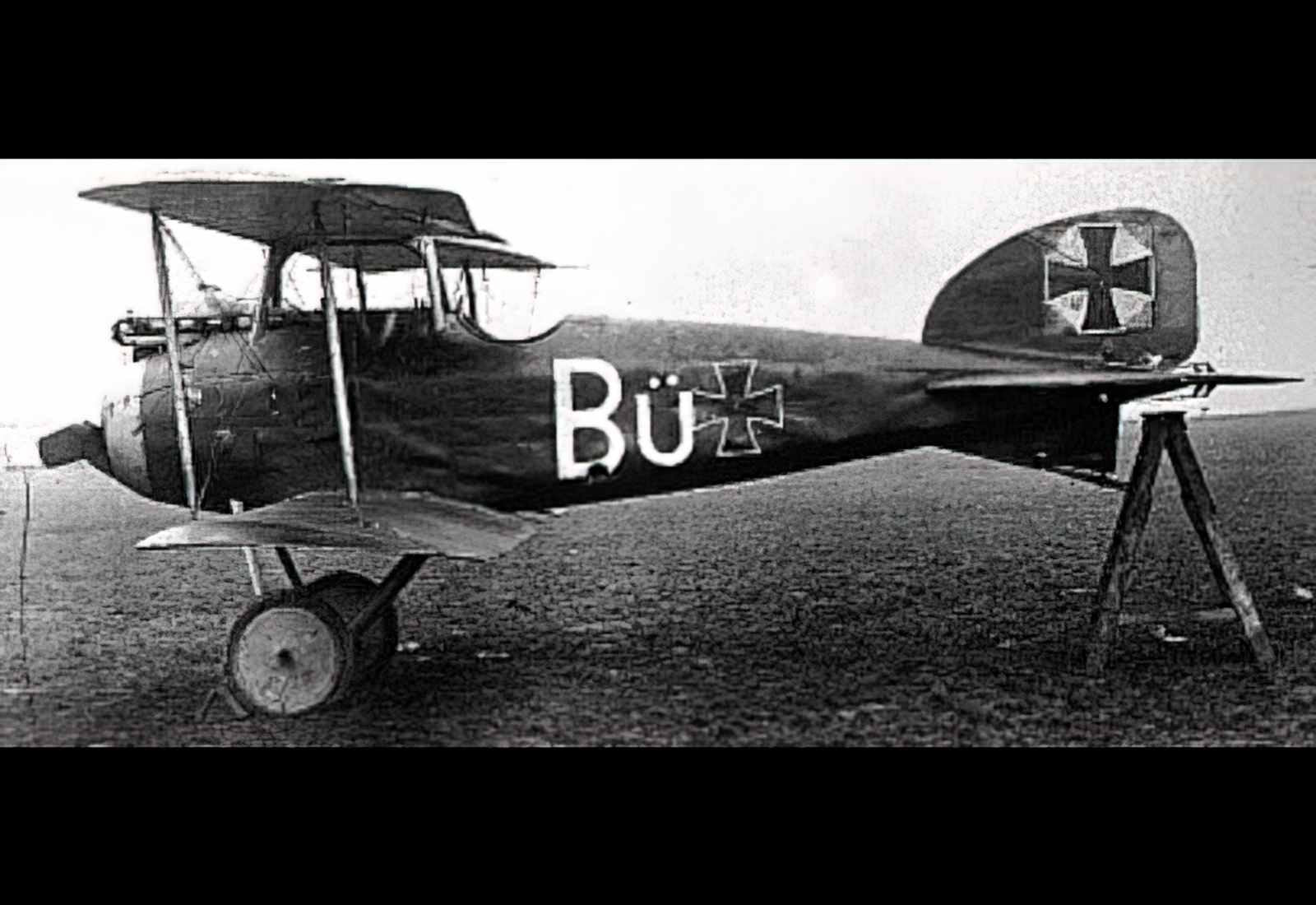 Albatros Di (2) Military A4 Photo Print