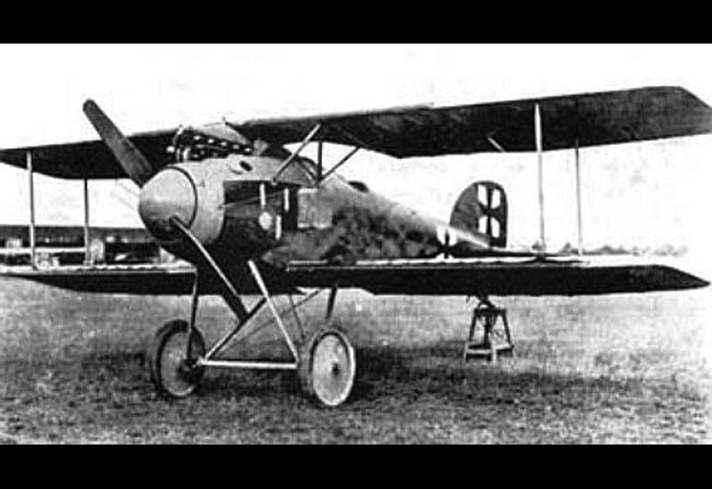 Albatros Dii Military A4 Photo Print