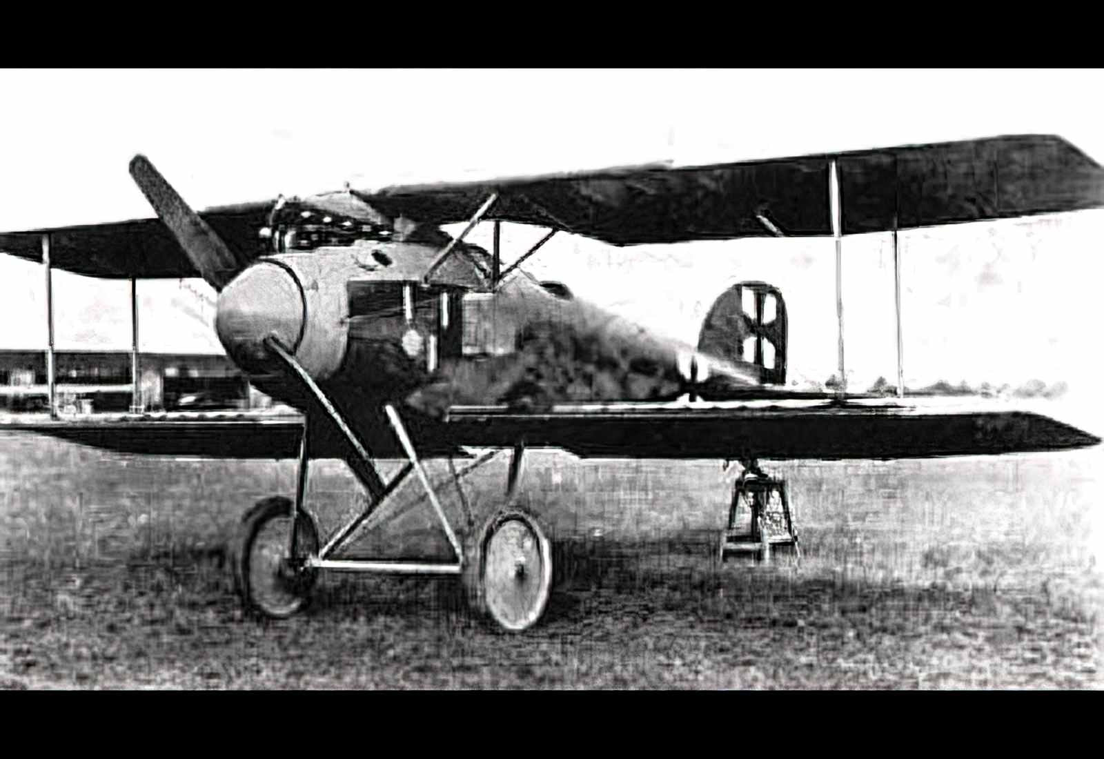 Albatros Dii (2) Military A4 Photo Print