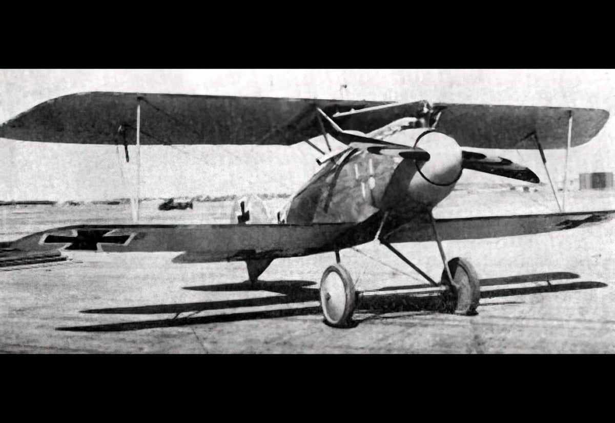 Albatros Diii (2) Military A4 Photo Print