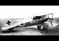 Albatros Dv Biplane Fighter German Empire 4 (2) Military A4 Photo Print