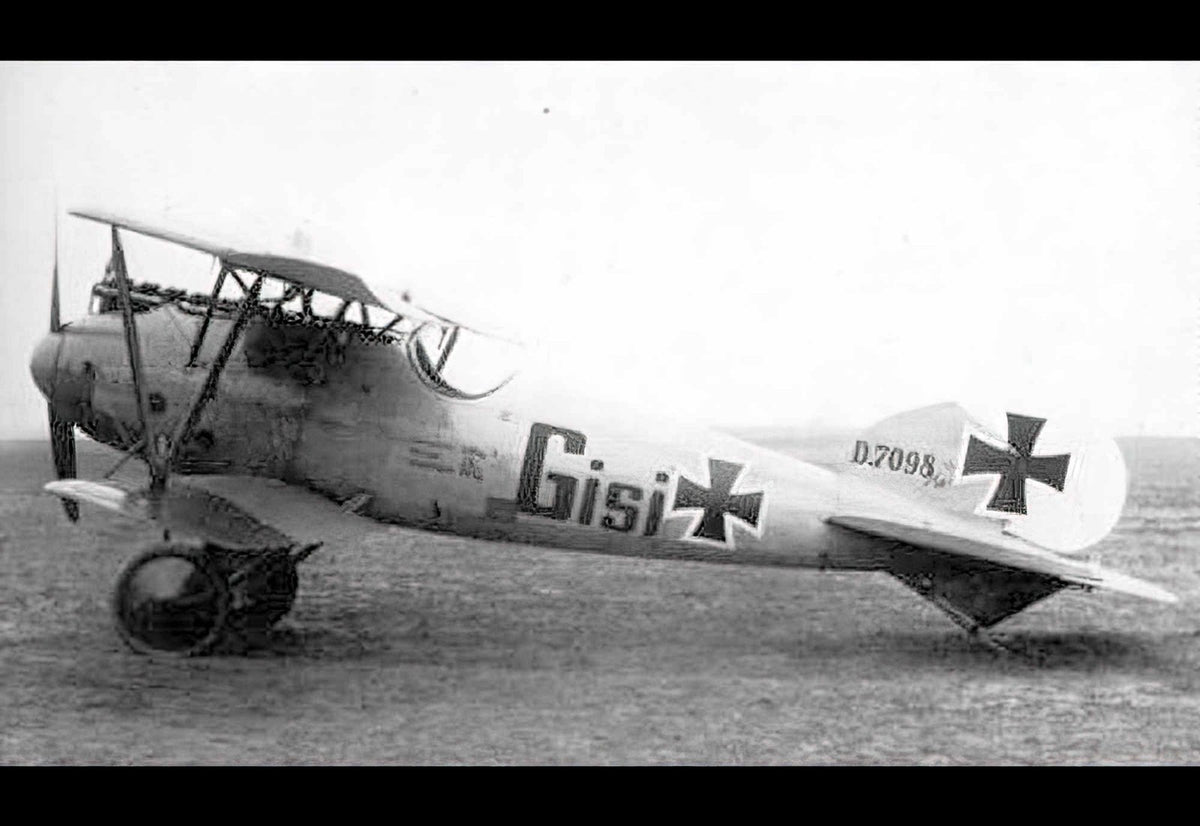 Albatros Dva Biplane Fighter German Empire 7 (2) Military A4 Photo Print