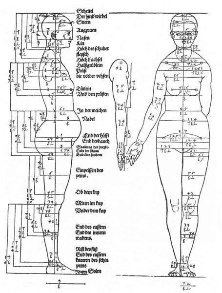 Albrecht Durer photo studies on the proportions of the female body 1528 A4 Photo Print