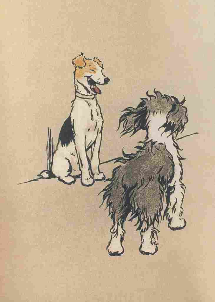 Aldin Cecil Bobtail Puppy Book 1914 Laughing A4 Photo Print