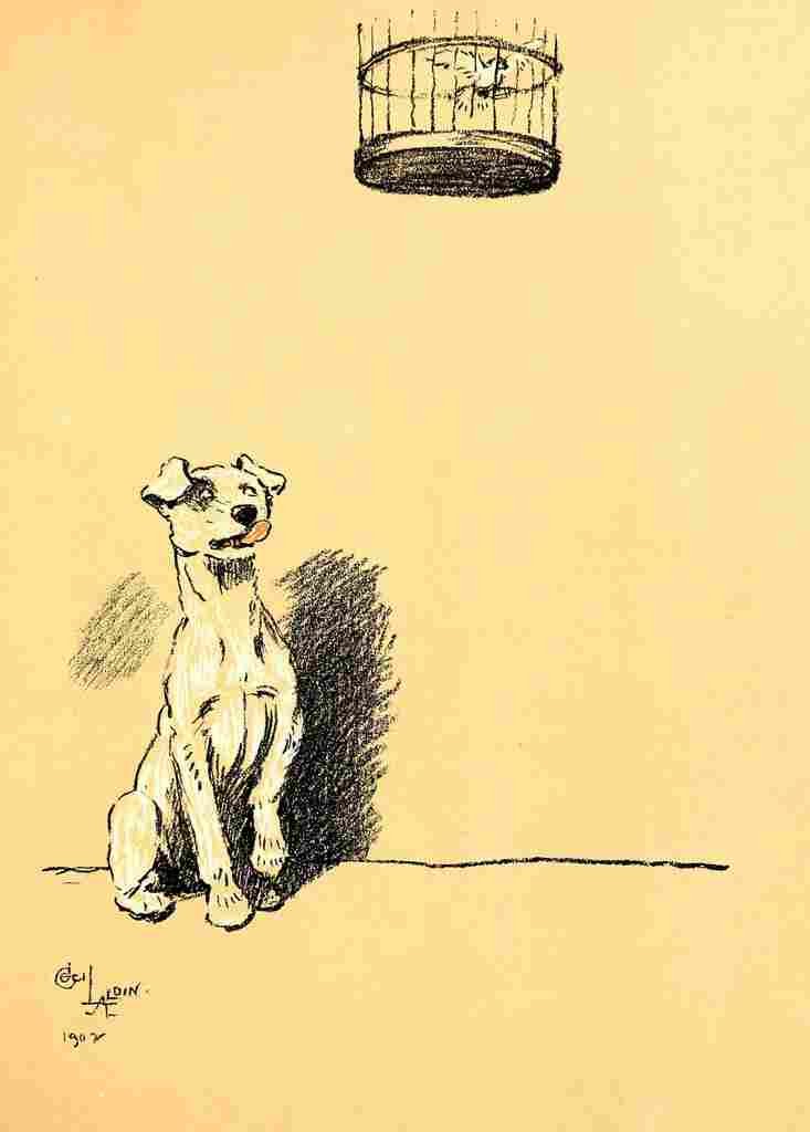 Aldin Cecil Dog Day 1902 Bird watching A4 Photo Print