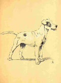 Aldin Cecil Dog Day 1902 Eager A4 Photo Print