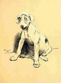 Aldin Cecil Dog Day 1902 Listening A4 Photo Print