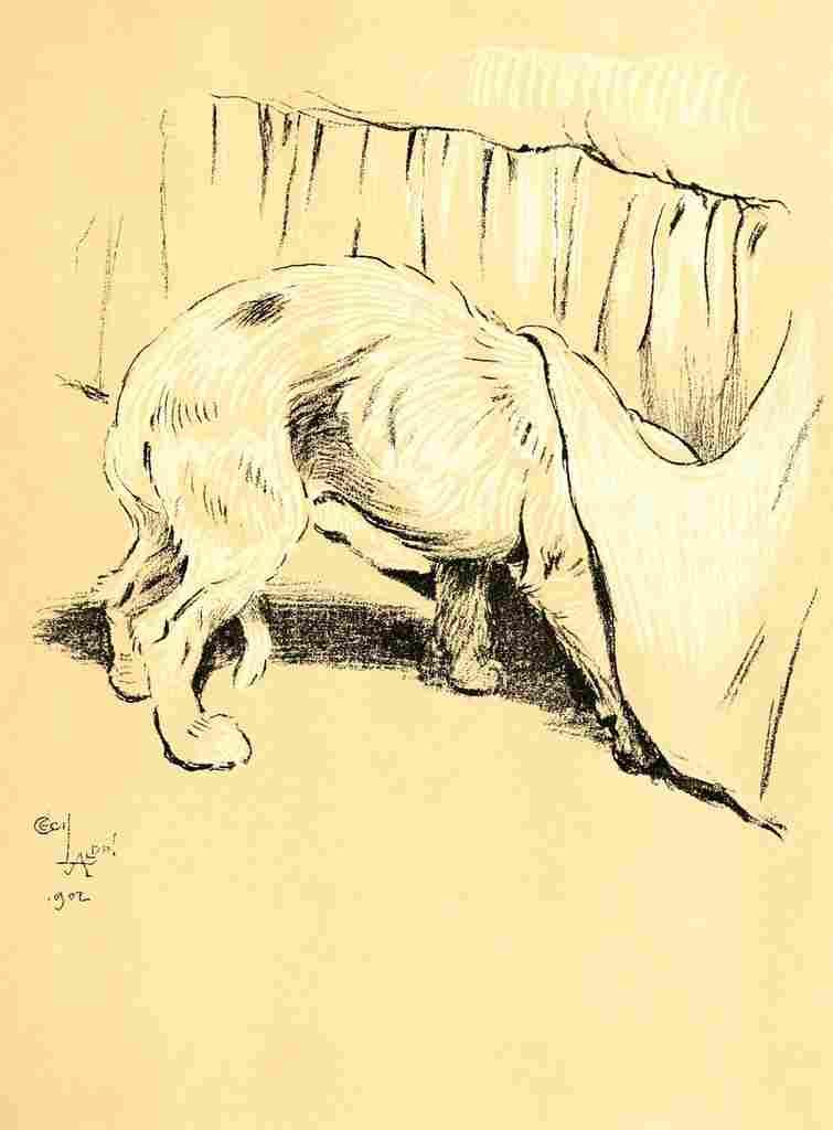 Aldin Cecil Dog Day 1902 Trying to hide A4 Photo Print