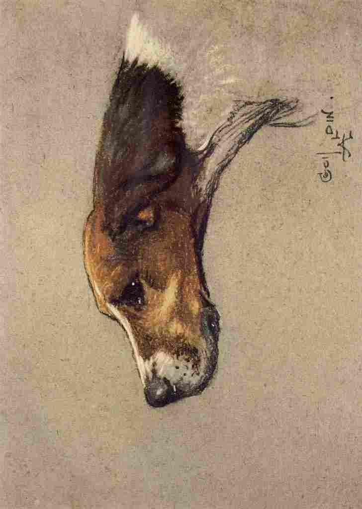 Aldin Cecil Dozen Dogs or So 1928 Dexter the Pointer A4 Photo Print