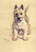 Aldin Cecil Dozen Dogs or So 1928 Westie A4 Photo Print
