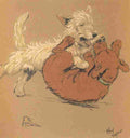 Aldin Cecil Mac 1912 Dog fight A4 Photo Print