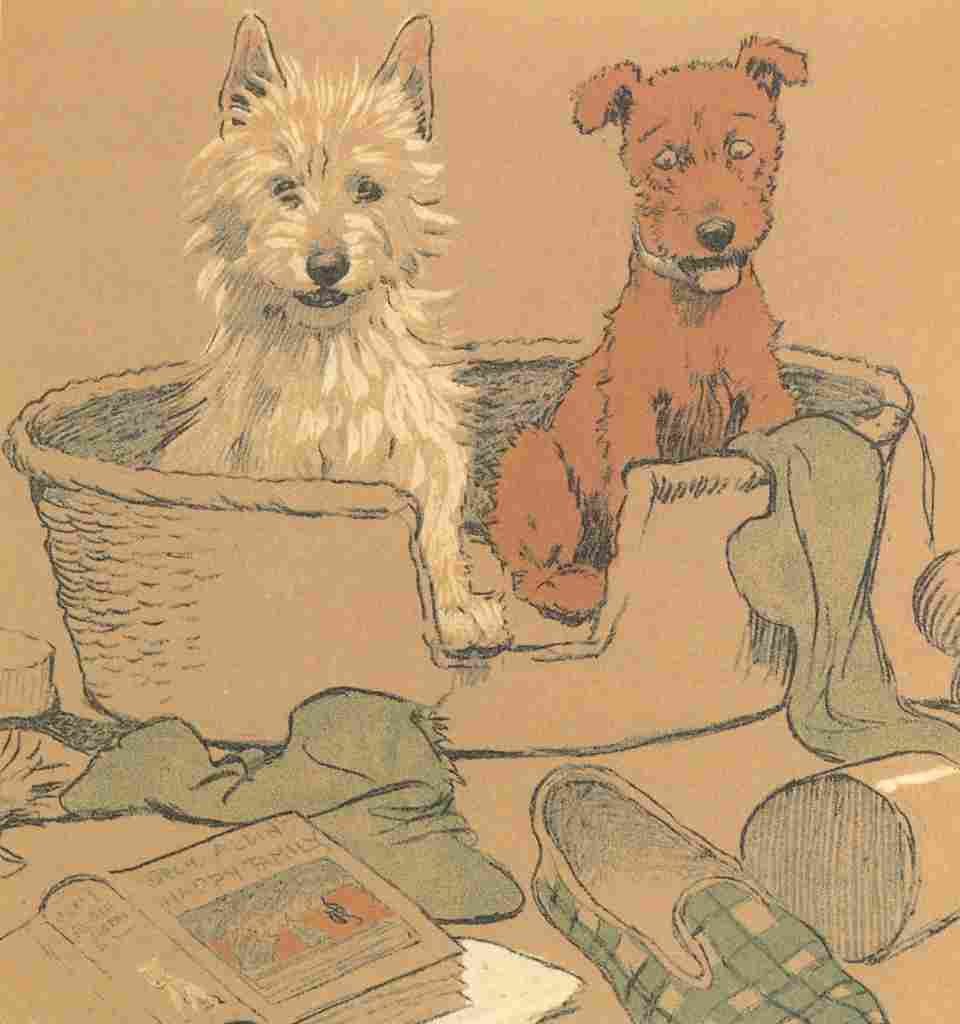Aldin Cecil Mac 1912 Dogs in basket A4 Photo Print