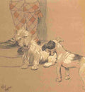 Aldin Cecil Mac 1912 New friend A4 Photo Print