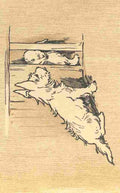 Aldin Cecil Mac 1912 Peering in the rabbit hutch A4 Photo Print