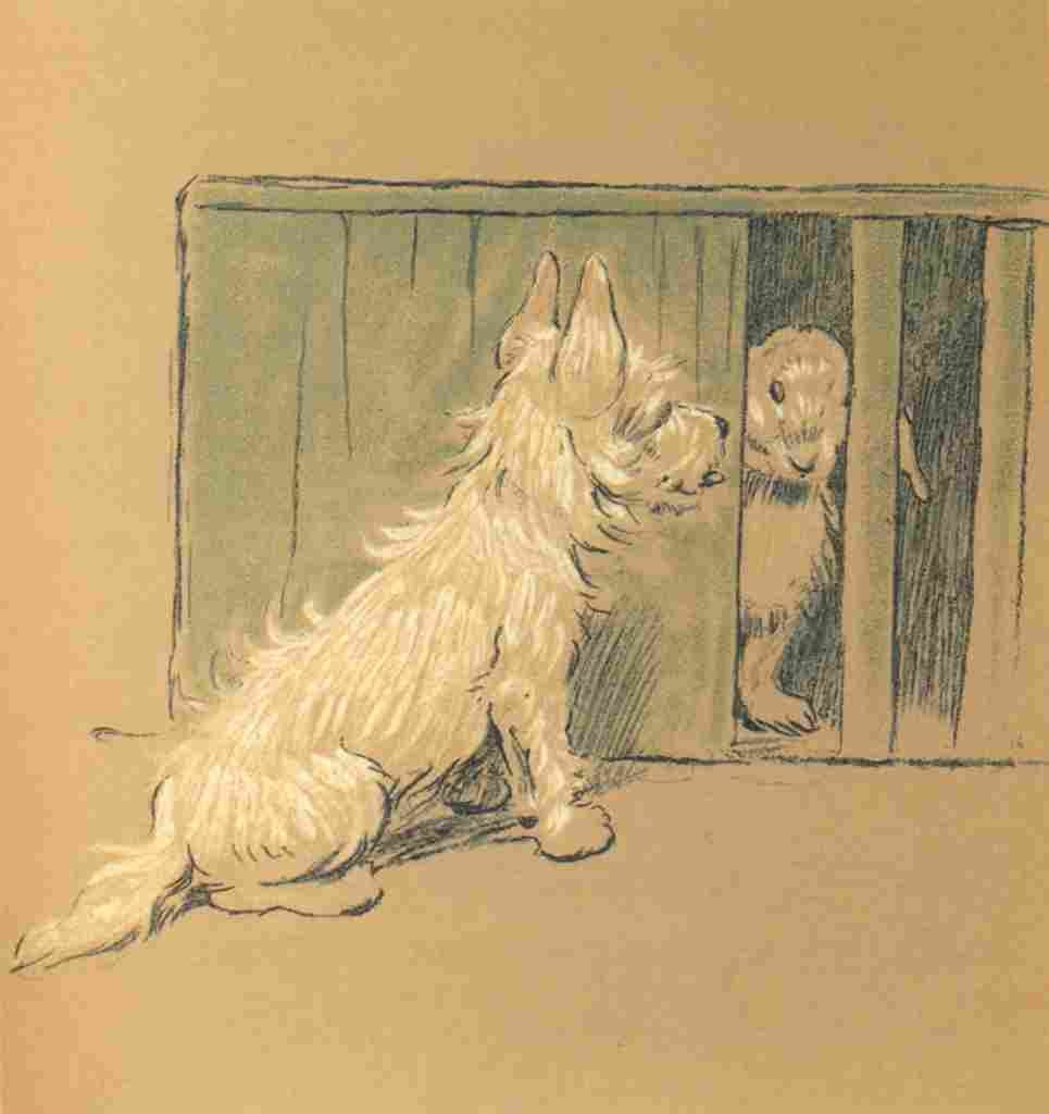 Aldin Cecil Mac 1912 Rabbit in cage A4 Photo Print
