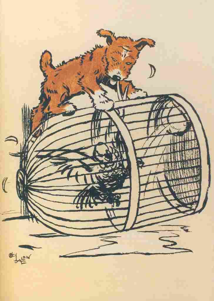 Aldin Cecil Merry Puppy Book 1913 Bird cage A4 Photo Print