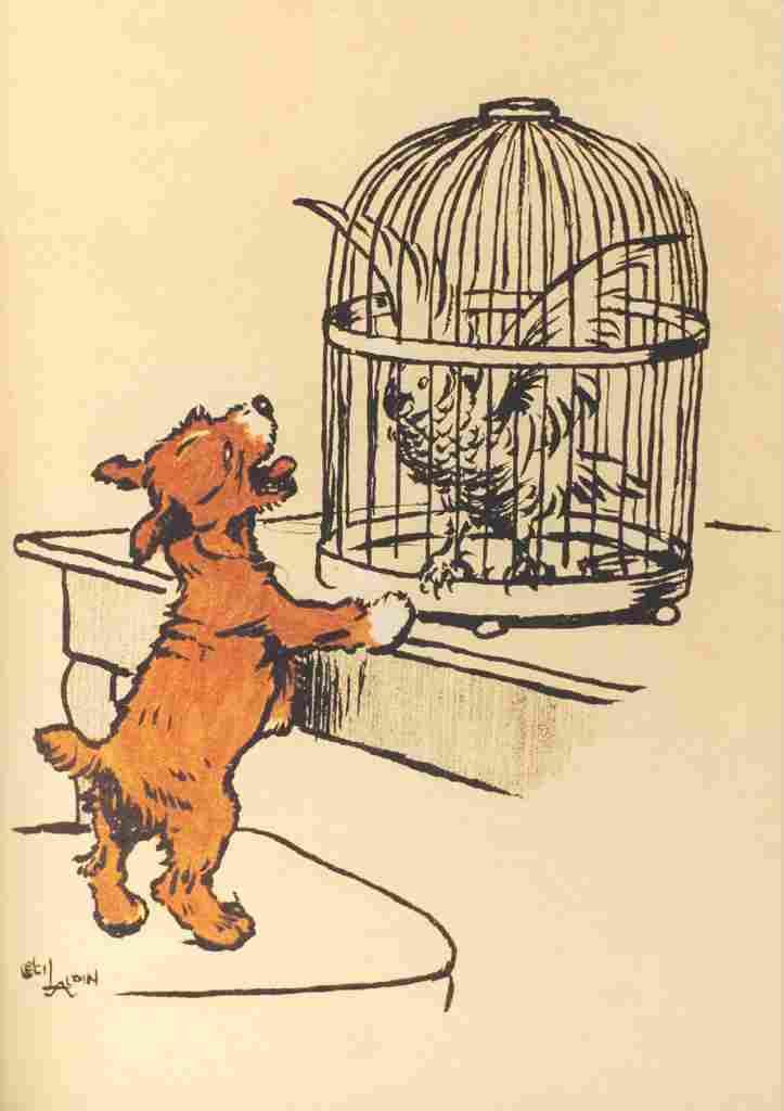 Aldin Cecil Merry Puppy Book 1913 Scaring bird A4 Photo Print
