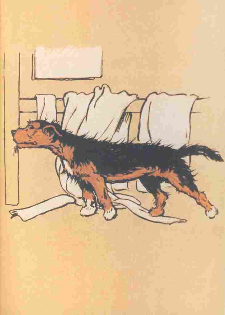 Aldin Cecil Mongrel Puppy Book 1912 In bathroom A4 Photo Print
