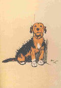 Aldin Cecil Mongrel Puppy Book 1912 In corner A4 Photo Print