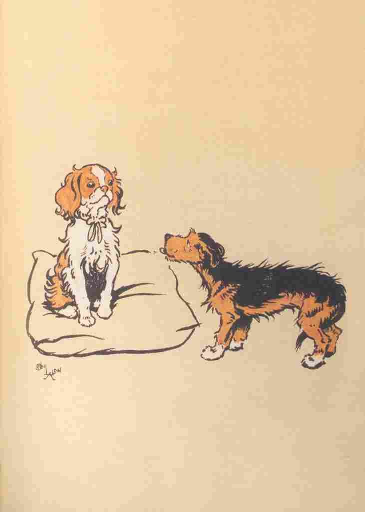 Aldin Cecil Mongrel Puppy Book 1912 Why hello A4 Photo Print