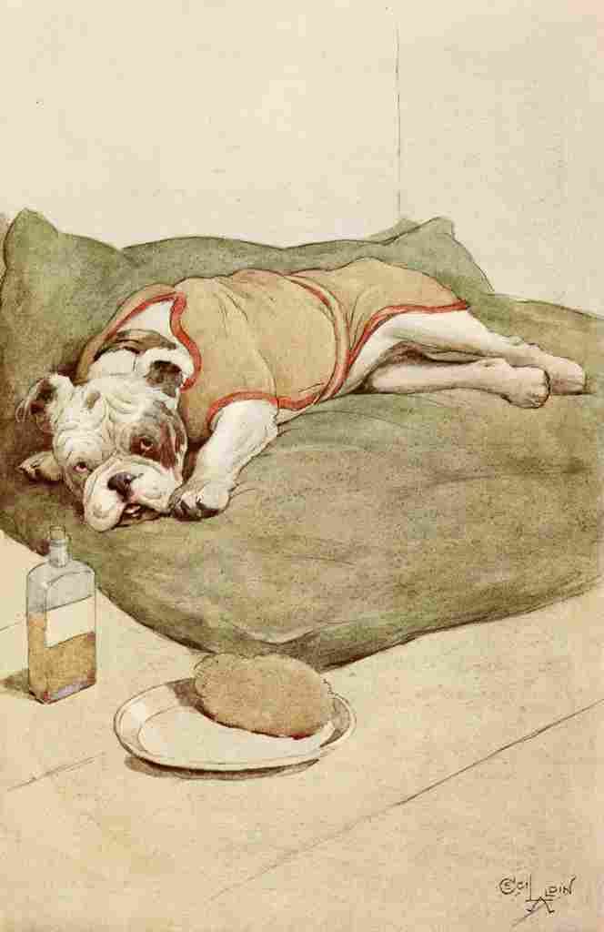 Aldin Cecil My Dog 1913 Ill in bed A4 Photo Print