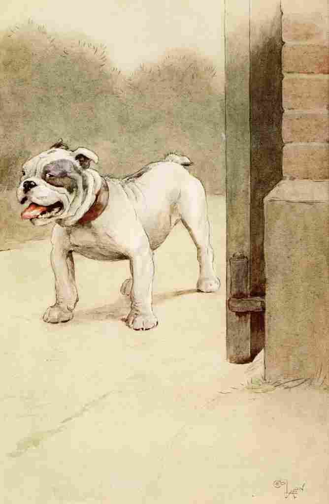 Aldin Cecil My Dog 1913 Outside A4 Photo Print