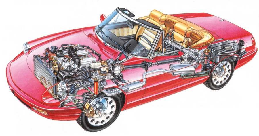 Alfa Romeo Spider cutaway A4 Photo Print