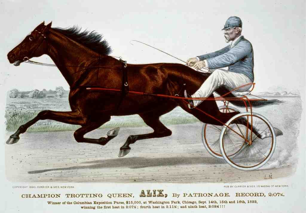 Alix 2 Horse 001 Vintage A4 Photo Print