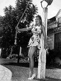 Allbritton Louise 3 film star poster A4 Photo Print