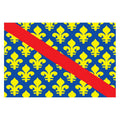 Allier Dep Flag N2907 A4 Photo Print