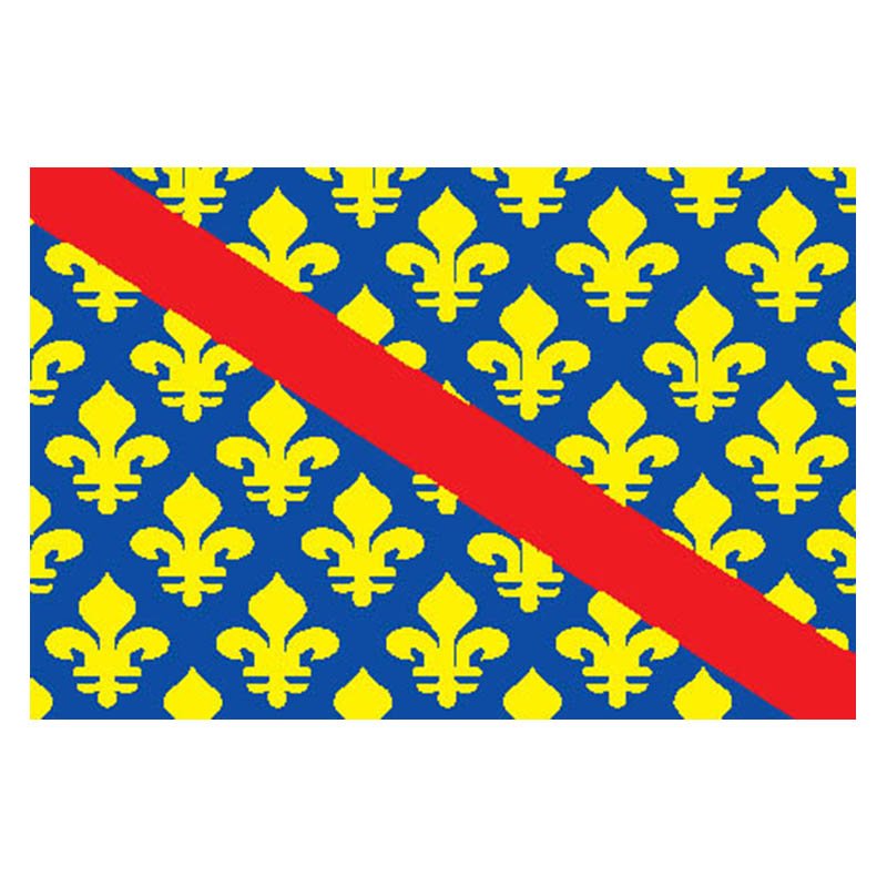 Allier Dep Flag N2907 A4 Photo Print