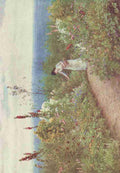 Allingham Helen 1848 1926 Happy England 1904 A Garden in October Aldworth A4 Photo Print