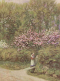 Allingham Helen 1848 1926 Happy England 1904 Apple & Pear blossom A4 Photo Print