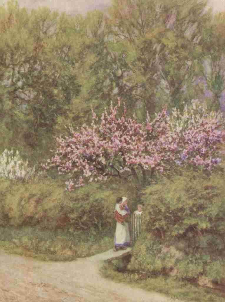 Allingham Helen 1848 1926 Happy England 1904 Apple & Pear blossom A4 Photo Print