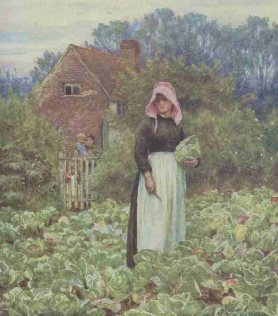 Allingham Helen 1848 1926 Happy England 1904 Cutting Cabbages A4 Photo Print