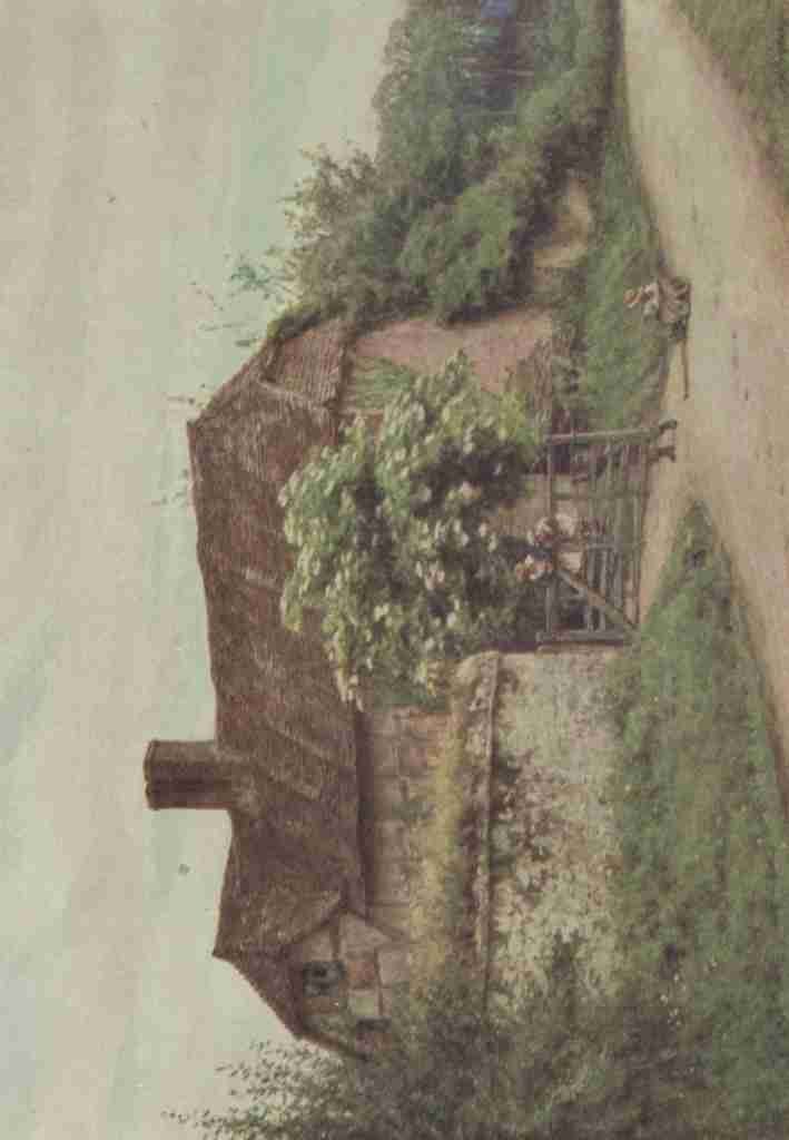 Allingham Helen 1848 1926 Happy England 1904 Elder Bush Brook Lane Witley A4 Photo Print