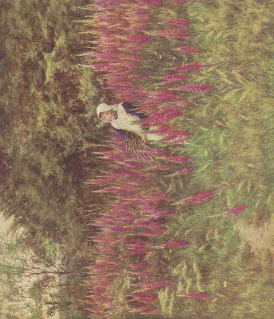Allingham Helen 1848 1926 Happy England 1904 Foxgloves Vintage A4 Photo Print