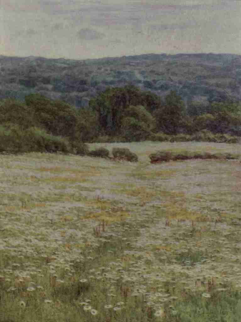 Allingham Helen 1848 1926 Happy England 1904 Ox eye Daisies nr Westerham Kent A4 Photo Print