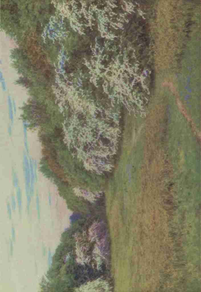 Allingham Helen 1848 1926 Happy England 1904 The Hawthorn Valley Brocket Herts A4 Photo Print