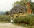 Allingham Helen A Cottage With Sunflowers At Peaslake Art A4 Photo Print