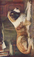 Allison JW d1934 The Wonder Book of Animals 15th ed St Bernard A4 Photo Print