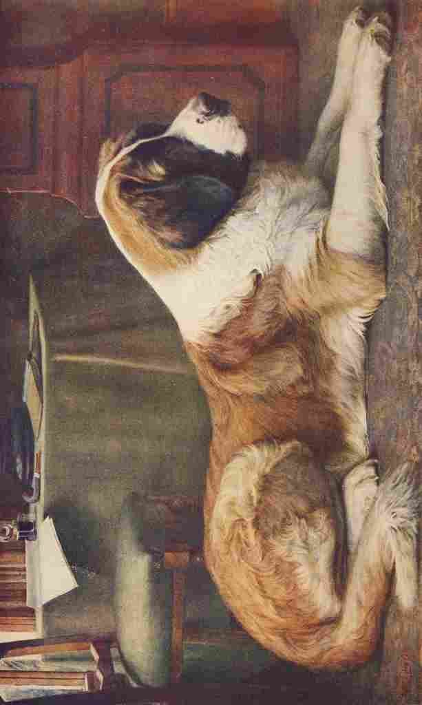 Allison JW d1934 The Wonder Book of Animals 15th ed St Bernard A4 Photo Print