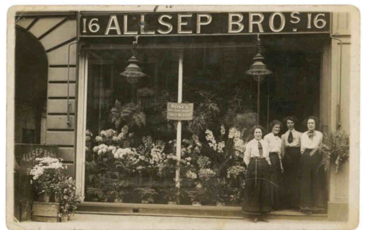 Allsep Bros Flowers Vintage Retro Advert Poster A4 Photo Print