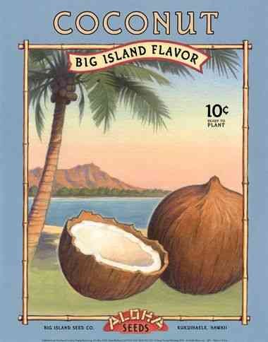 Aloha Seeds 167 advert A4 Photo Print